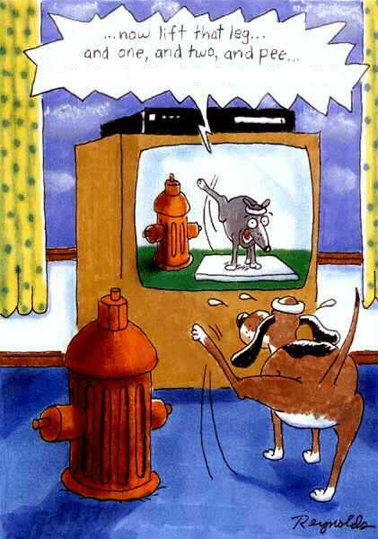 Doggy Exercise