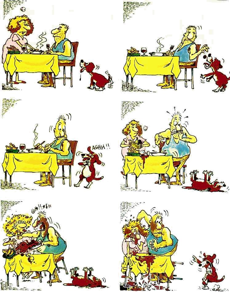 dogact