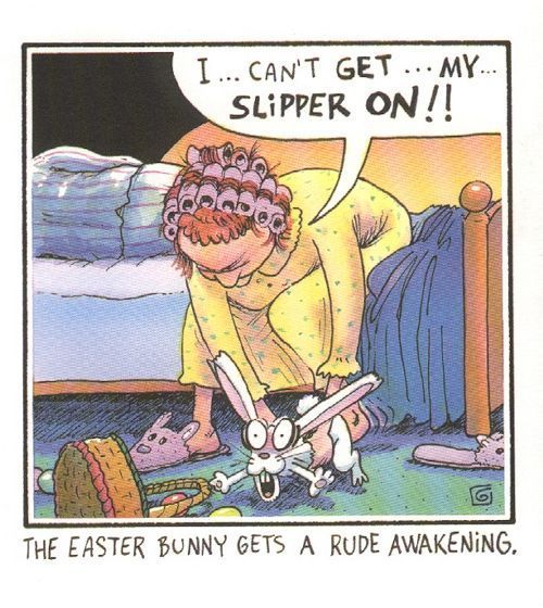 Rude Awakening