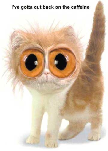eyes