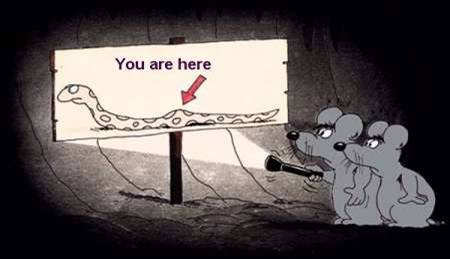 Lost Mice