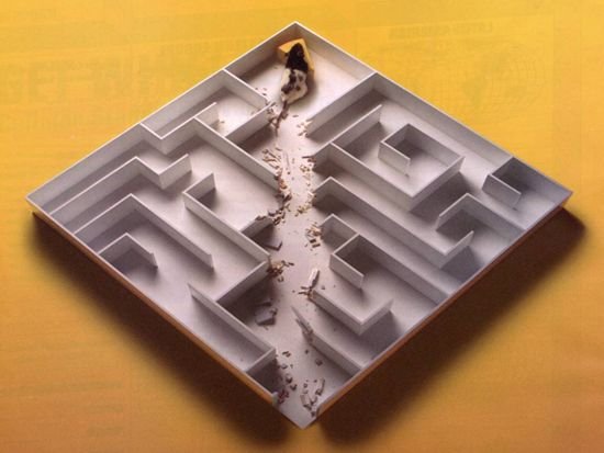 maze
