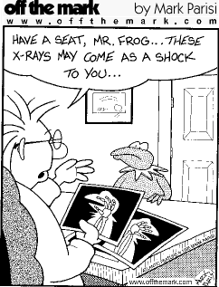 Kermit X-Ray