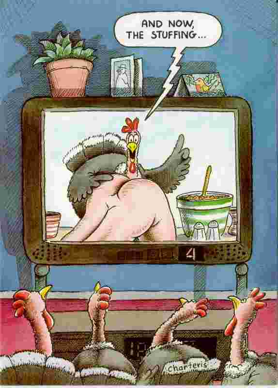 turkeys1